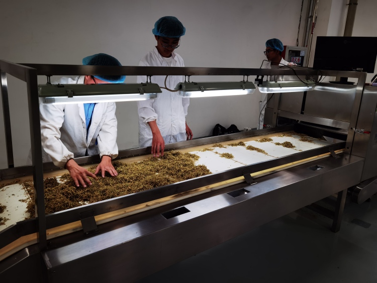 首批试点满一年，长三角创新联合体探索了什么？